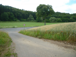 Z-3-vom-Zuschauer-aus